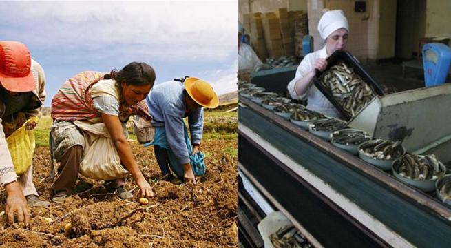 Economía peruana creció 4.52 % en junio: ¿en qué sectores?