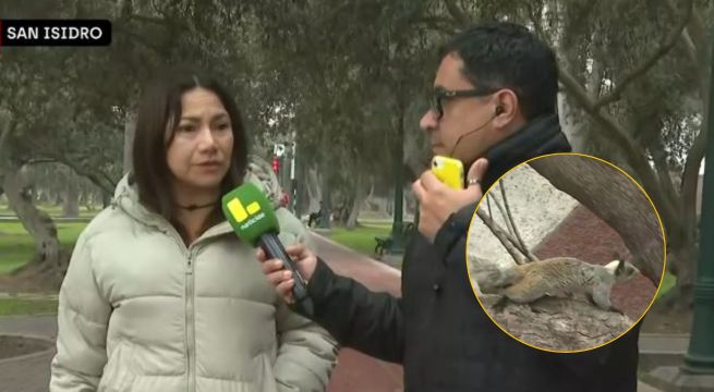 Vecinos de San Isidro se dividen por multa de S/535 por alimentar ardillas en parques
