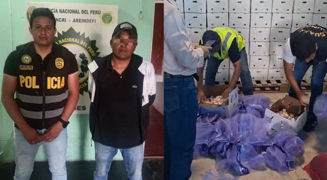 Desarticulan mafia que hacía pasar ajo ecuatoriano como peruano