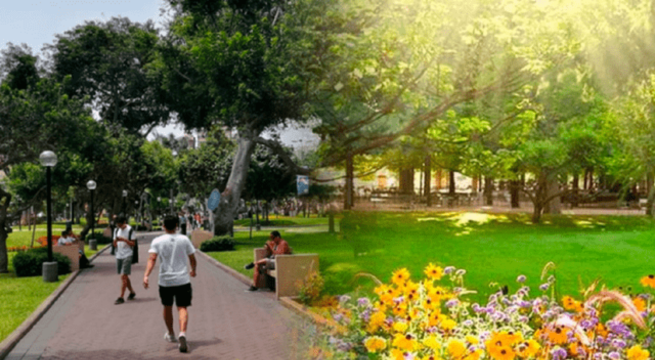 Primavera en Lima: conoce el pronóstico del Senamhi del lunes 22 al viernes 26