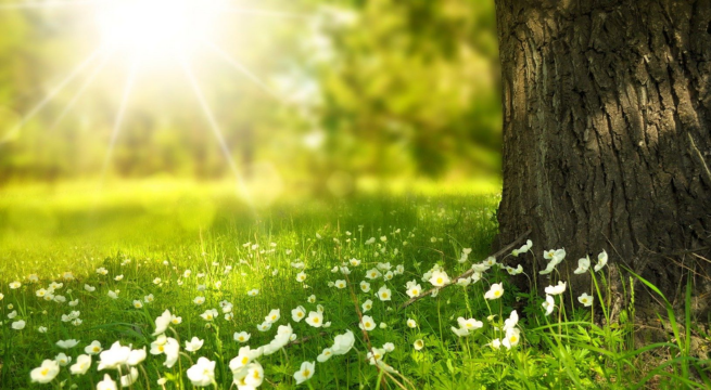 ¿Cuándo inicia la primavera en Perú? Senamhi confirma fecha y hora exacta