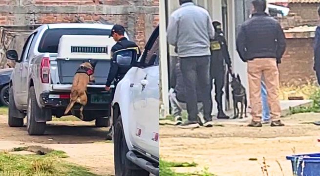 PNP intensifica búsqueda de joven desaparecido con unidad canina