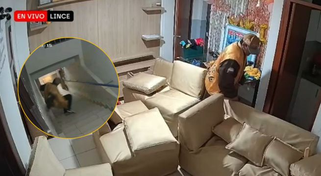 Delincuente entra a casa mientras dueña sacaba la basura en Lince