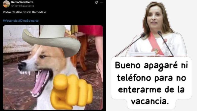 Mira los memes que dejó la vacancia de Dina Boluarte