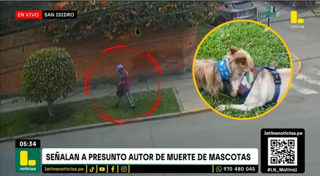 Habrían identificado a sujeto que lanzó veneno para mascotas en San Isidro