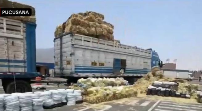 Policía incauta camión con más de 16 mil cartuchos de dinamita camuflados entre pacas de heno