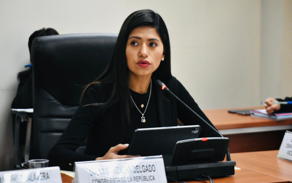 Diana Gonzales sobre ampliación del REINFO: “El Ejecutivo ha tenido un silencio cómplice” | VIDEO