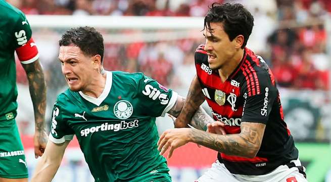 Palmeiras vs. Flamengo: los factores del duelo que definirá al campeón de la Copa Libertadores