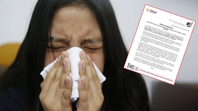 México confirma el primer caso de influenza virus A H3N2
