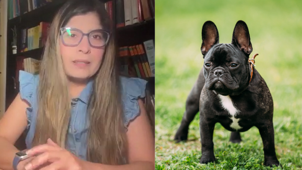 Caso perrita 'Susu': Especialista en derecho animal sostiene que caso cumple requisitos para prisión preventiva