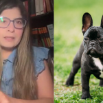 Caso perrita 'Susu': Especialista en derecho animal sostiene que caso cumple requisitos para prisión preventiva