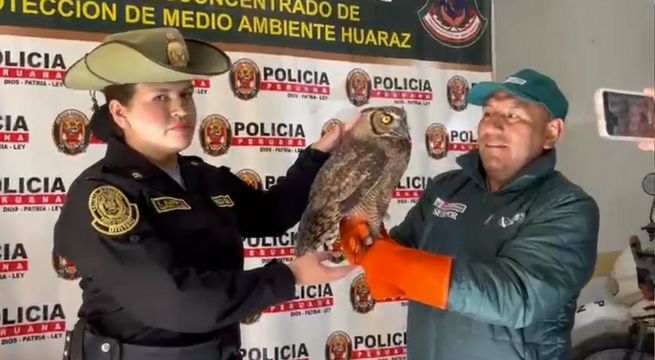 Áncash: Serfor rescata a 4 animales silvestres afectados por incendios