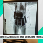 Pasajeros buscan evadir impuestos bajo modalidad de 