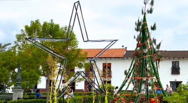 Vecinos critican árbol de Navidad en Chachapoyas: municipio aclara que fue donado