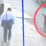 Sicarios intentan matar a fiscal tras ser amenazada