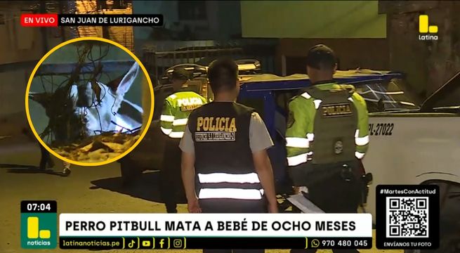 Bebé de 8 meses murió tras ataque de perro pitbull