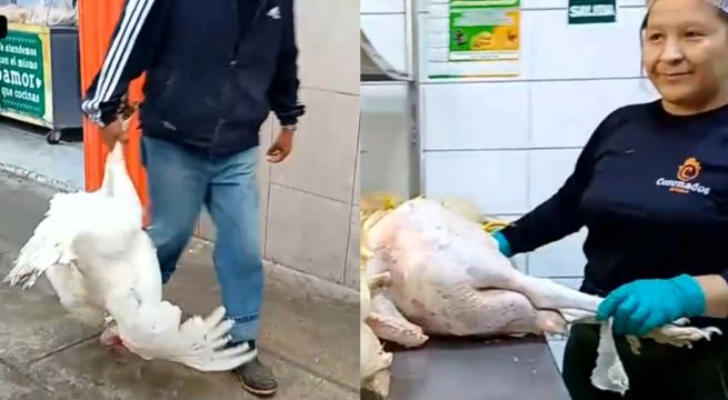 Precio del pavo sube a poco de la Navidad: vendedores también ofrecen lechones