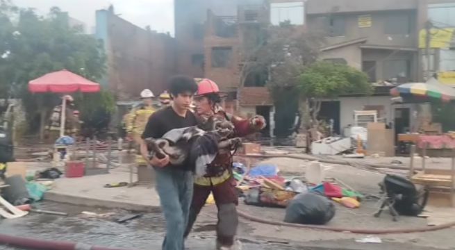 Rescatan a perrito atrapado en vivienda afectada por incendio en almacén de pirotécnicos