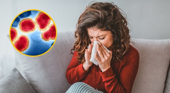 Gripe H3N2 avanza en Europa y EEUU: ¿qué es y cuáles son los síntomas?