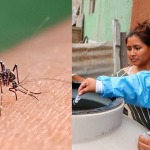 Alerta epidemiológica de dengue: Minsa anuncia medida preventiva por inicio de temporada de lluvias