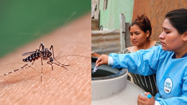 Alerta epidemiológica de dengue: Minsa anuncia medida preventiva por inicio de temporada de lluvias