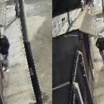 Asaltan dos veces la misma casa y roban útiles escolares valorizados en 10 mil soles