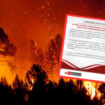 Perú expresa condolencias a Chile por las víctimas de los incendios en Biobío y Ñuble