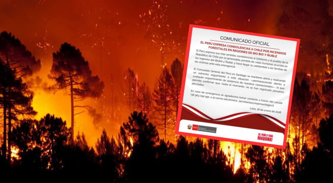 Perú expresa condolencias a Chile por las víctimas de los incendios en Biobío y Ñuble