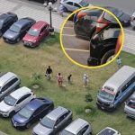 Chorrillos: parqueaderos ilegales ocupan las áreas verdes de la Costa Verde | VIDEO