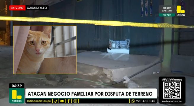 Gatito resultó herido en ataque con explosivo a cerrajería: Denuncian disputa de terreno