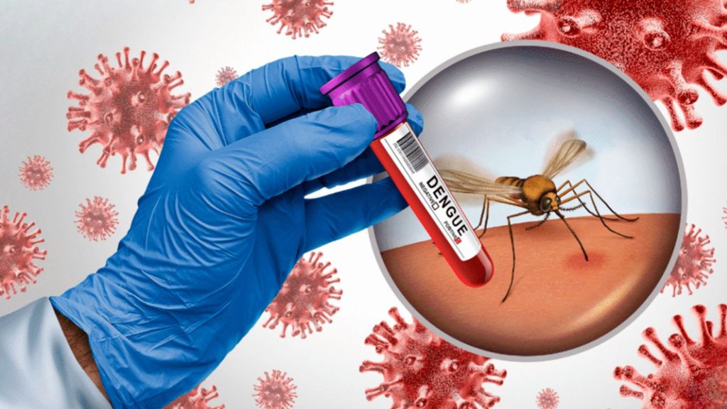 Perú registra 5,228 casos de dengue en lo que va del año y cinco fallecidos a nivel nacional