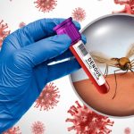 Perú registra 5,228 casos de dengue en lo que va del año y cinco fallecidos a nivel nacional