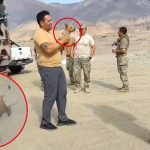 Así fue rescatado perrito que sobrevivió a accidente de helicóptero en Arequipa