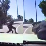Conductor atropella a delincuente cuando intentaba asaltarlo en plena carretera | VIDEO