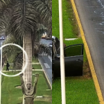 Padre de joven atropellado en Javier Prado exige S/ 35 mil por gastos médicos a conductor