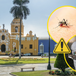 Dengue en La Libertad: zancudo transmisor está presente en 39 distritos y ya se reportan 201 casos