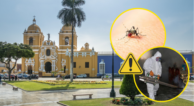 Dengue en La Libertad: zancudo transmisor está presente en 39 distritos y ya se reportan 201 casos