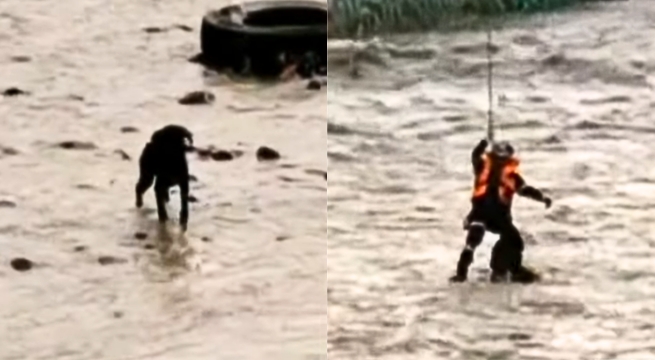 Rescatista intenta salvar a perrito y ambos son arrastrados por el río Rímac | VIDEO