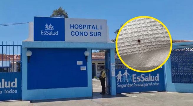 Hallan garrapata en cama de paciente de hospital de EsSalud