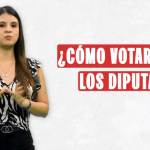 Elecciones 2026: cómo votar por la Cámara de Diputados | VIDEO