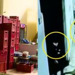 Delincuentes roban licores valorizados en más de 200 mil soles | VIDEO