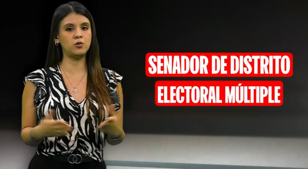 Elecciones 2026: ¿cuál es la diferencia entre un senador de distrito electoral único y múltiple? | VIDEO