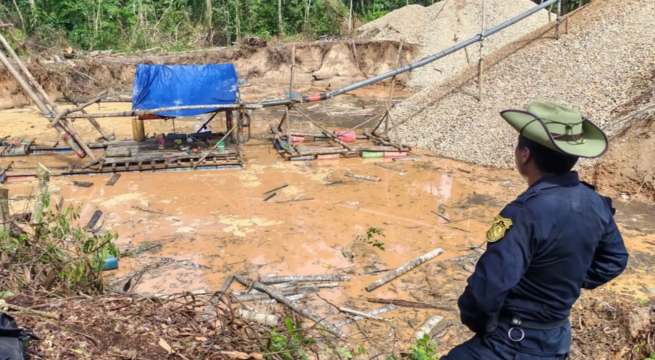 Operativos contra la minería ilegal en Madre de Dios: decomisan bienes valorizados en S/13.5 millones