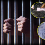 Capturan a padrastro acusado de abusar de sus hijastras tras denuncia presentada en el 8M de 2026