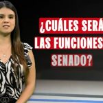 Elecciones 2026: ¿cuáles serán las funciones del Senado? | VIDEO