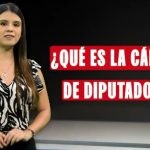 Elecciones 2026: ¿cuáles serán las funciones de los diputados? | VIDEO