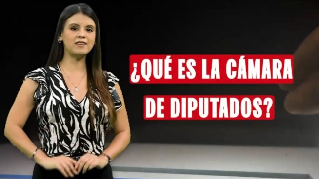Elecciones 2026: ¿cuáles serán las funciones de los diputados? | VIDEO