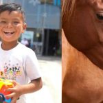 Salvan de morir a niño que fue golpeado por yegua, el medio de transporte de su familia