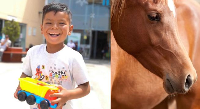 Salvan de morir a niño que fue golpeado por yegua, el medio de transporte de su familia