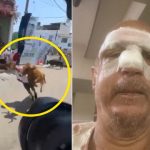 Queda gravemente herido tras ser embestido por un toro durante fiesta patronal en Trujillo